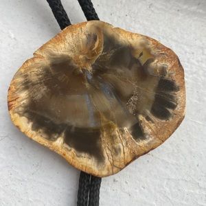 Vintage Petrified Wood Bolo Tie